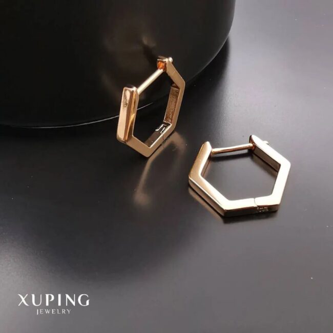 Hexagon earrings